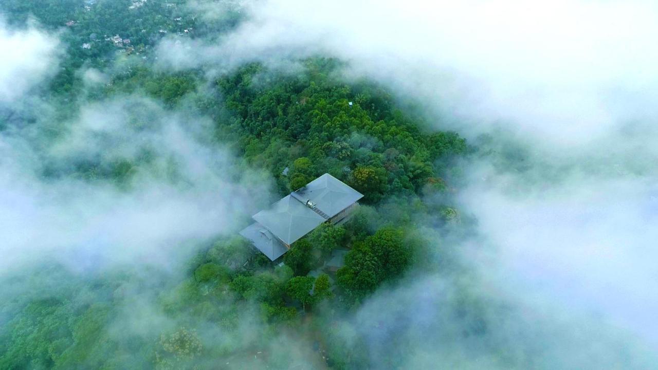Elephant Passage Munnar Eksteriør bilde Aerial view of the house